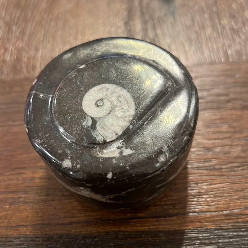 AMMONITE FOSSIL BOX Black Fossil Stone Decor Piece